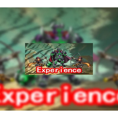 Experience