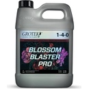 Grotek Blossom Blaster PRO 1 L