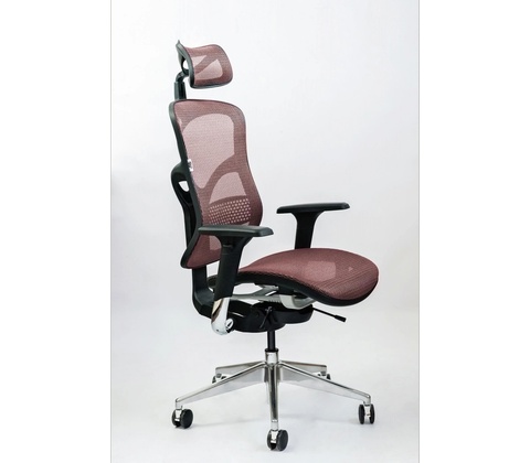SpinErgo Business