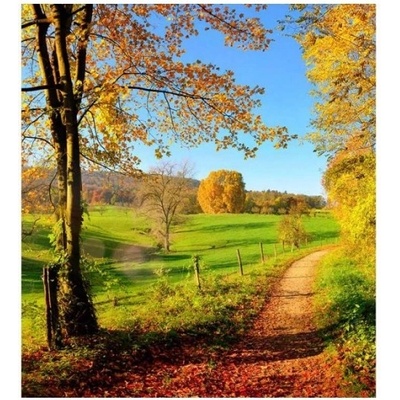 DIMEX ART Флизелинов фототапет ливада 225 x 250 см