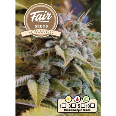 Fair Seeds Somango semena neobsahují THC 10 ks