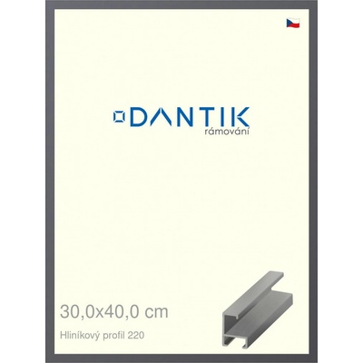 DANTIK rám na obraz 30 x 40 Ocelová