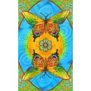 Knihy Chrysalis Tarot - Když se nevědomé stane vědomým kniha a 78 karet - Toney Brooks