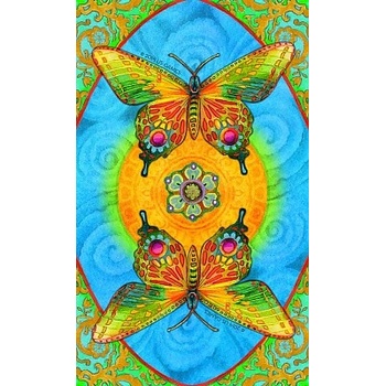 Chrysalis Tarot - Když se nevědomé stane vědomým kniha a 78 karet - Toney Brooks