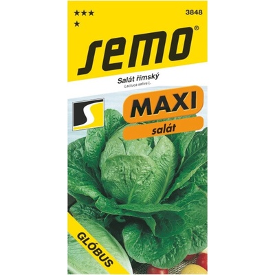 AgroBio Salát římský Glóbus 0,7 g