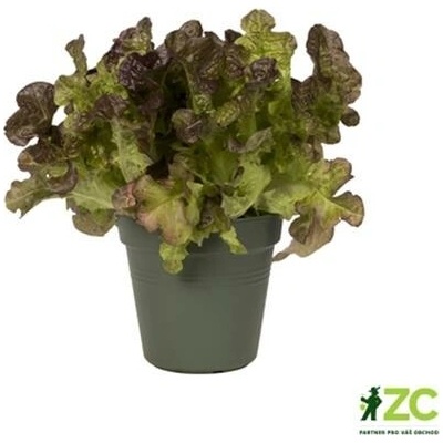 Elho květináč Green Basics leaf green 27 cm