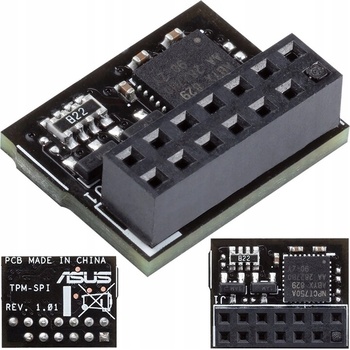 Asus TPM-SPI