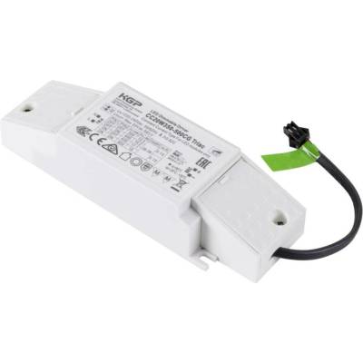 BIG WHITE SLV LED Driver 19 W, 500 mA, PHASE 1010701