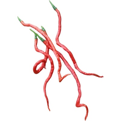 Need For Seed Chilli Thunder Mountain Longhorn semena 10 ks