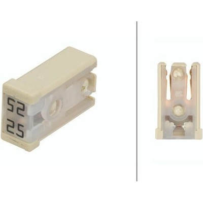 Poistka HELLA 8JS 218 228-031