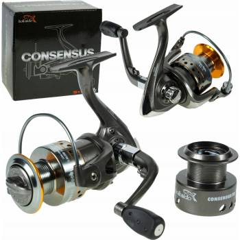 Hokkaido Consensus FD3000