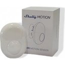 Shelly Shelly Motion