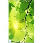 DIMEX ART Флизелинов фототапет зелени листа 150 x 250 см