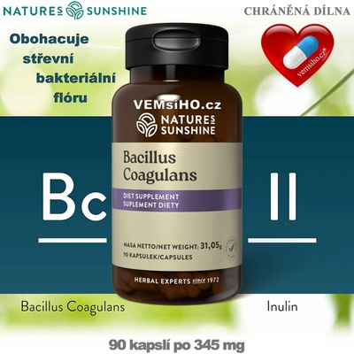Nature’s Sunshine Bacillus Coagulans 90 kapslí po 345 mg