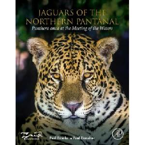 Jaguars of the Northern Pantanal | Paul Brooke (ISBN: 9780128221389)