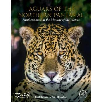Image 1 of Jaguars of the Northern Pantanal | Paul Brooke