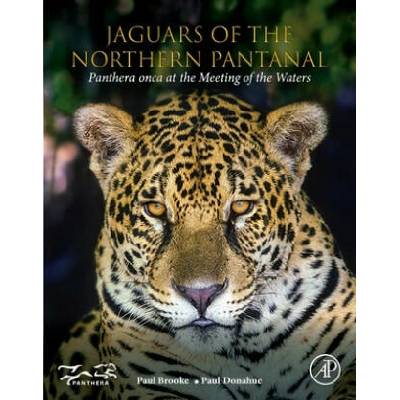 Jaguars of the Northern Pantanal | Paul Brooke