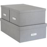 Bigso Комплект от 3 сиви кутии за съхранение Inge - Bigso Box of Sweden (811354141-99)