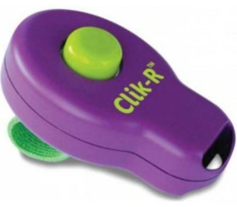 PetSafe CLicker Clik-R Training Tool