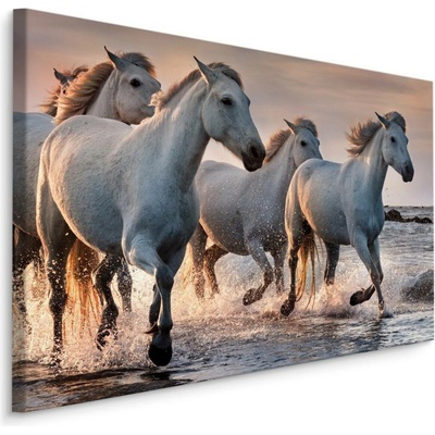 MyBestHome BOX Plátno Koně V Moři Varianta: 70x50
