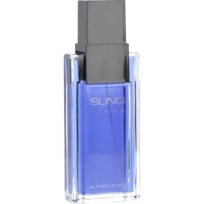 Alfred Sung Homme toaletná voda pánska 100 ml tester