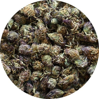 Salvia Paradise Jetel luční květ 500 g