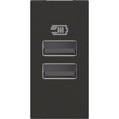 BTicino RG4191AA USB зарядно тип A и A 15W 3A 100-240V 50-60Hz, 1M Черен Classia - RG4191AA (RG4191AA)