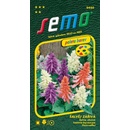 Semo Šalvia žiarivá - zmes 30s - séria Paleta farieb