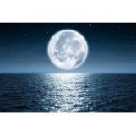 DIMEX ART Флизелинов фототапет пълнолуние 375 x 250 см