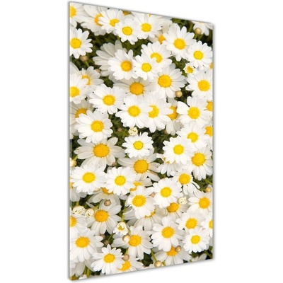 Vertikálny foto obraz fotografie na skle Kvety semikrásky 50x100 cm