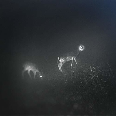 Bliss Signal - Bliss Signal LP