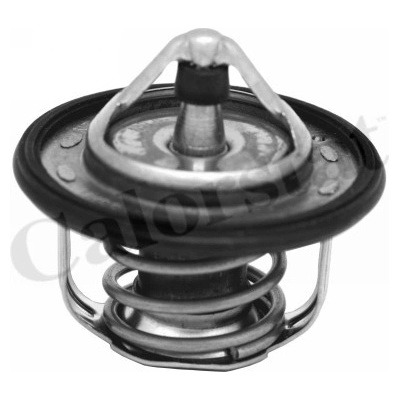Termostat, chladivo CALORSTAT by Vernet TH7300.95J