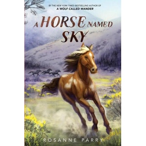 A Horse Named Sky | Kirbi Fagan (ISBN: 9780062995964)