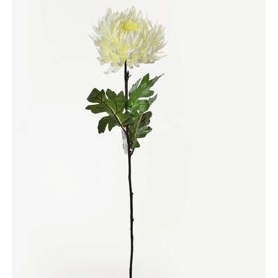 KS CHRYZ. KRÉM. 80CM
