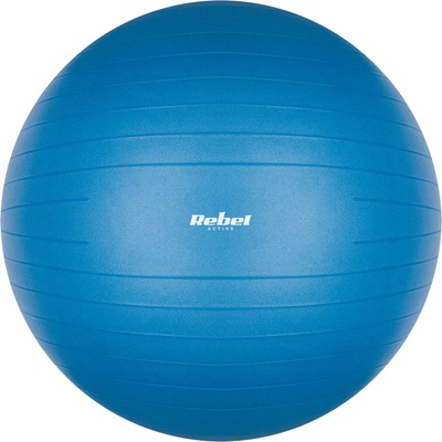 Rebel RBA-3100