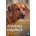 Rhodéský ridgeback