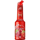 Mixer strawberry puree 1 l