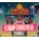 Monster Camp: Camp Forever Bundle