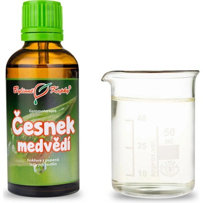 Cesnak medvedí gemmoterapie 50 ml