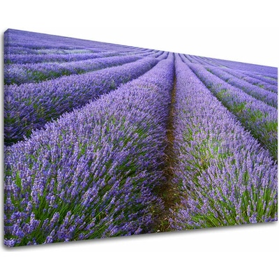 Papilora Obraz na stěnu KRAJINA - 60x90 cm