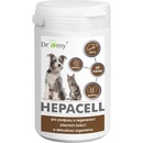 Dromy Hepacell 60 tbl