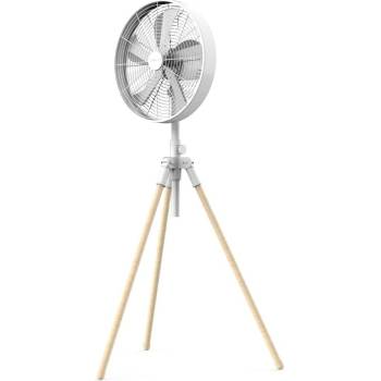 NewLux 1200539