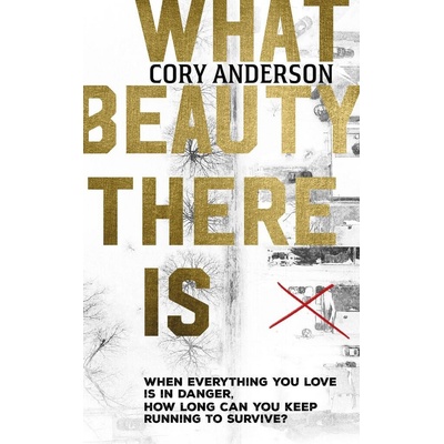 What Beauty There Is - Cory Anderson