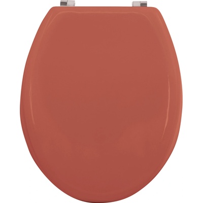 MSV CLEO 140081