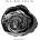 Big Big Train - Woodcut CD