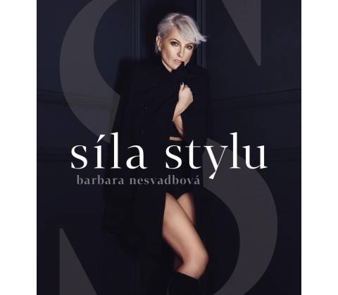 Síla stylu