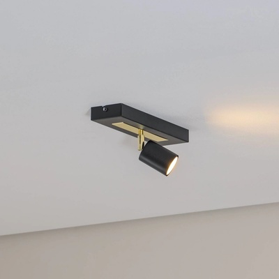 Luminex 1661