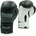 Evolution PCV RB2210