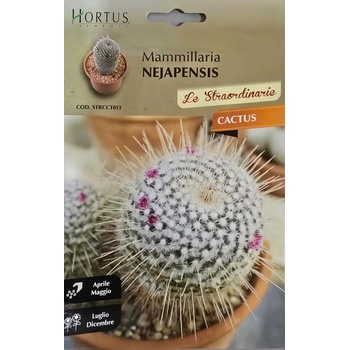 Hortus Кактус Мамилария (Mammillaria nejapensis)