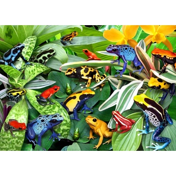 Alipson Puzzle - Puzzle Fun Frogs - 500 piese